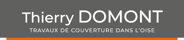 LOGO THIERRY DOMONT